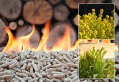 What blocks the development of biomass energy?
